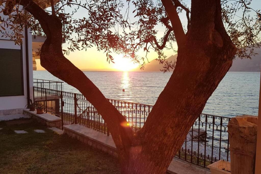 Villa Francesca-Grande Appartamento In Riva Al Lago Бренцоне сул Гарда Екстериор снимка