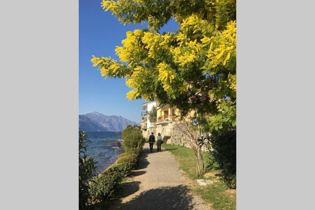 Villa Francesca-Grande Appartamento In Riva Al Lago Бренцоне сул Гарда Екстериор снимка